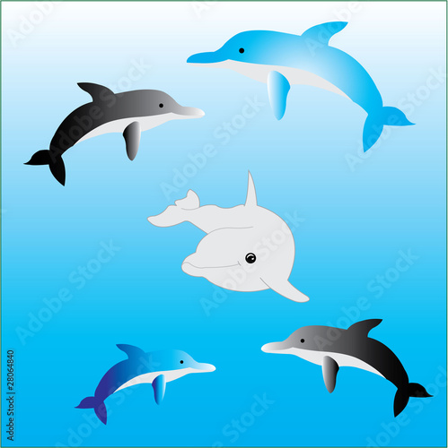 dolphin