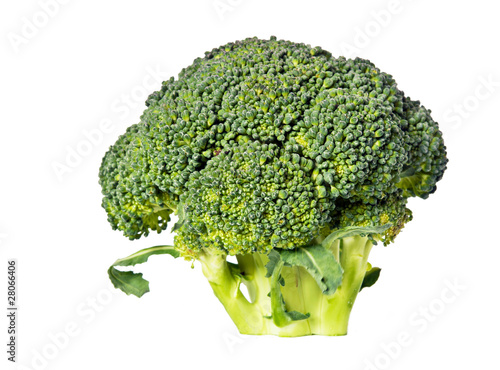 green head of broccoli on a white background