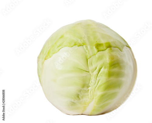 One cabbage yield isolated on white background.