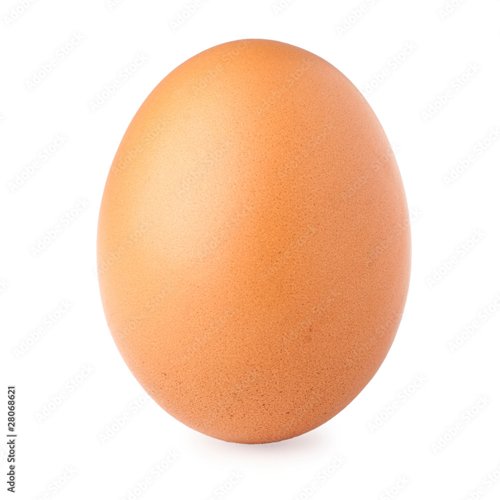 Brown egg on white background Brown egg on white background