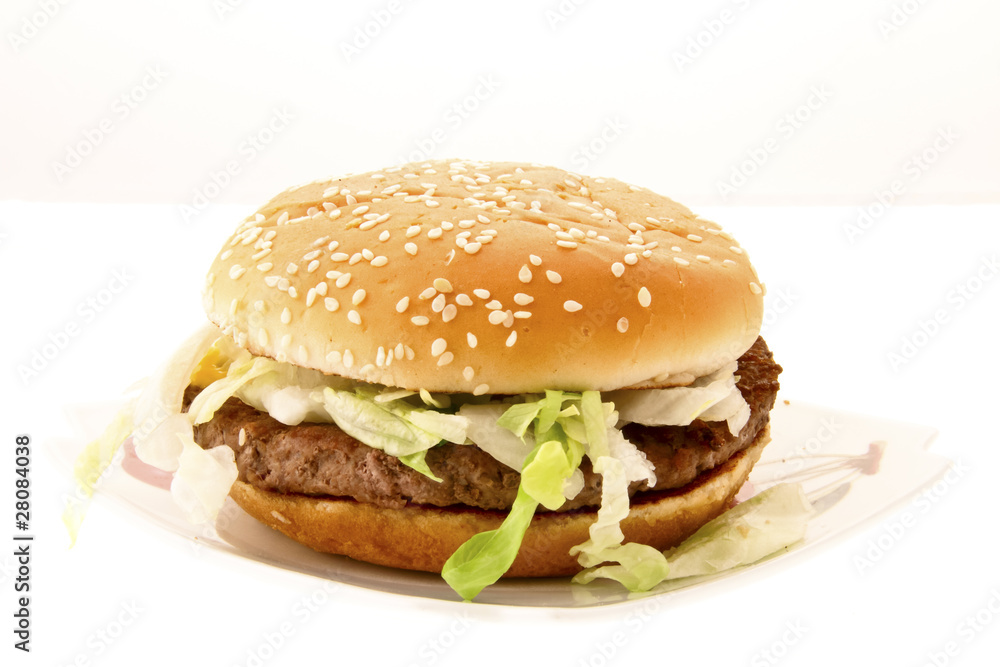 Panino Panino