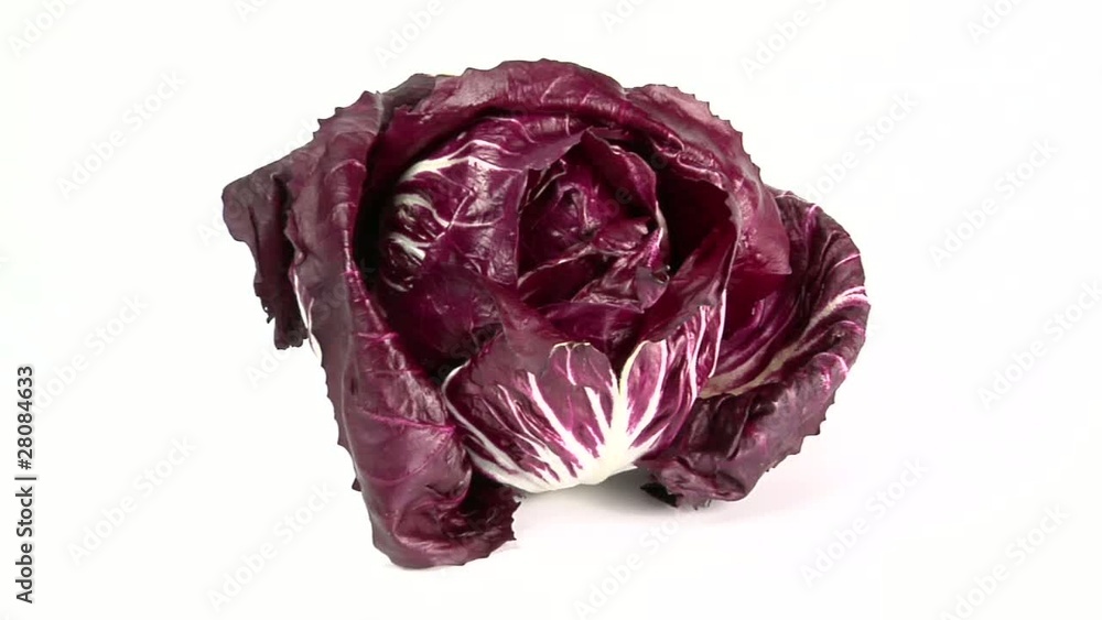 radicchio radicchio