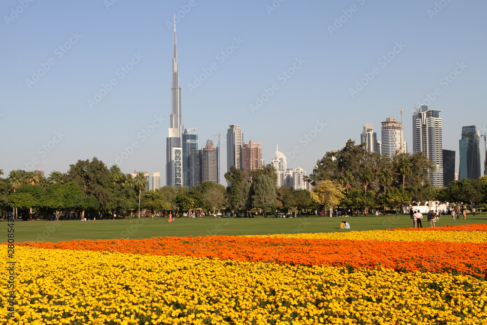 Fototapeta premium Safa park in Dubai