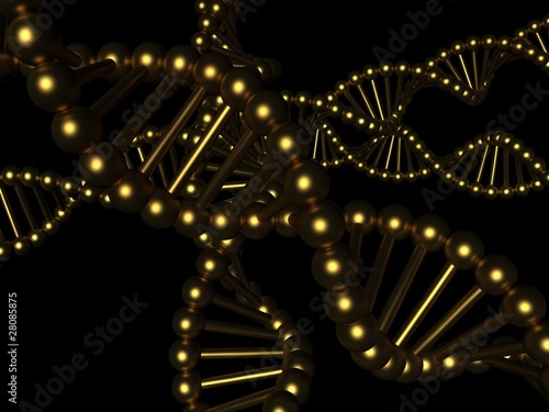 DNA - deoxyribonucleic acid photo