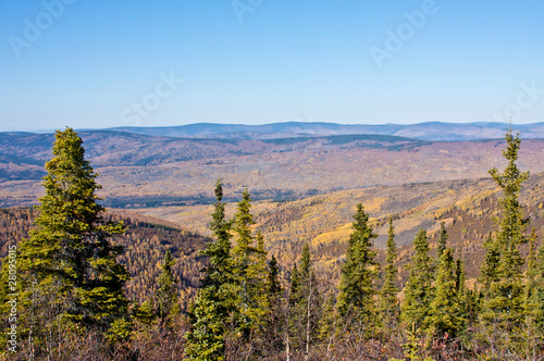 Ester Dome in Fall