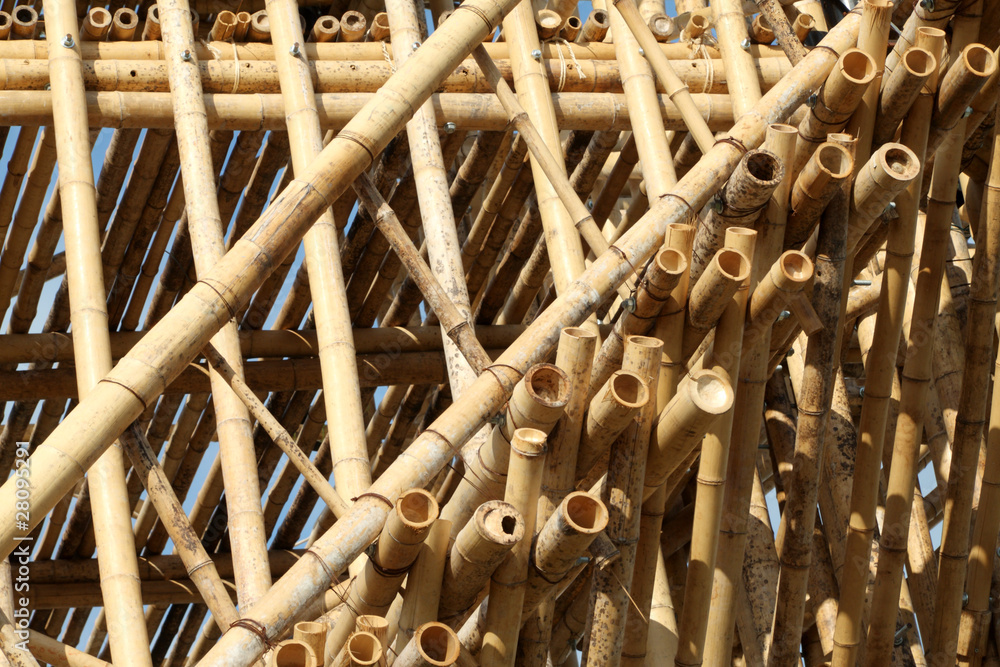 escalier en bambou