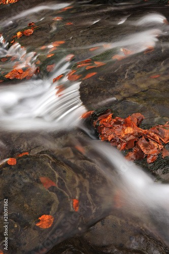autumn creek