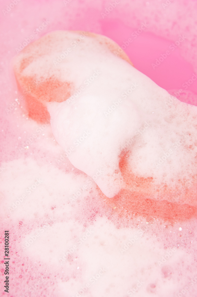 Fototapeta premium Sponge in water