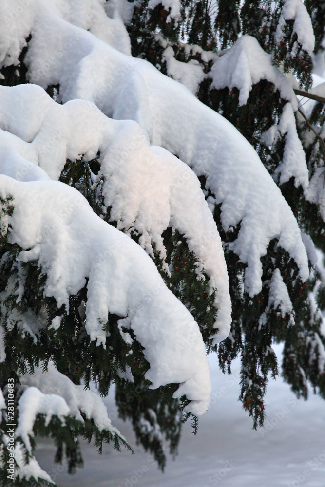 Winterzeit Winterzeit