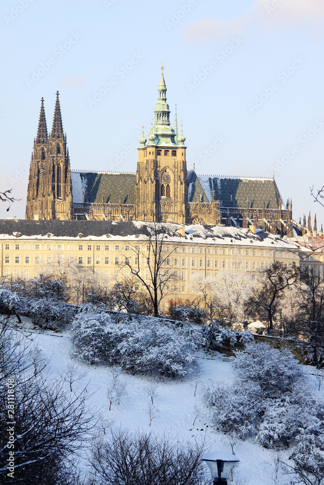 Fototapeta premium First Snow in Prague, gothic Castle with snowy Trees