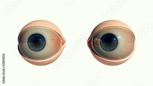 Eyes Only