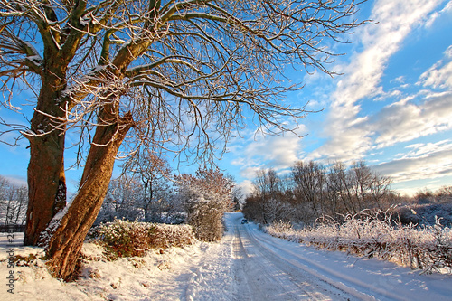 Obraz na płótnie Winter in Scotland w salonie