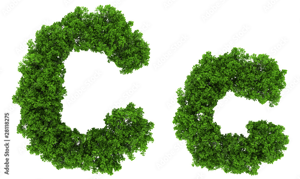 on top view tree forest high detail font on top view tree forest high detail font