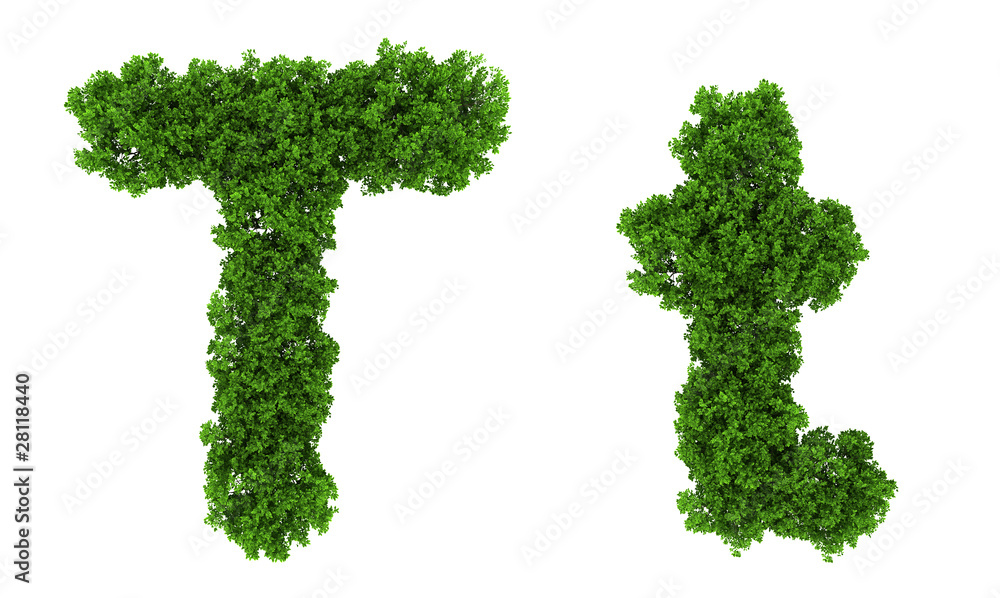 on top view tree forest high detail font on top view tree forest high detail font
