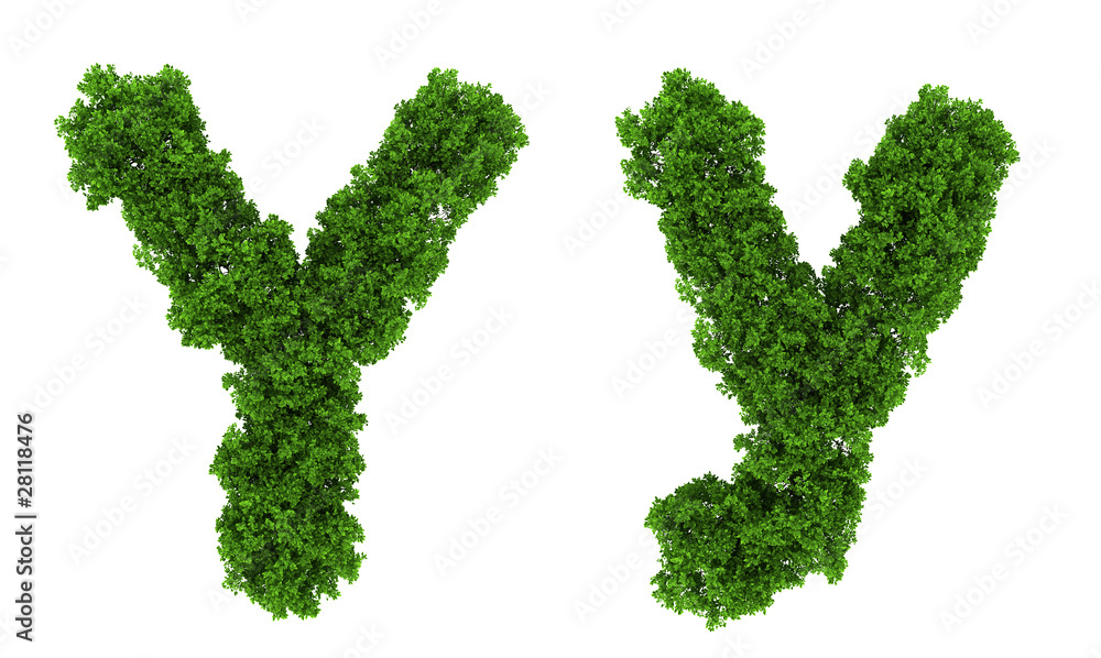 on top view tree forest high detail font on top view tree forest high detail font