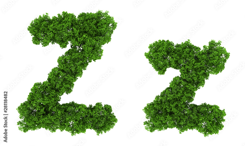 on top view tree forest high detail font on top view tree forest high detail font