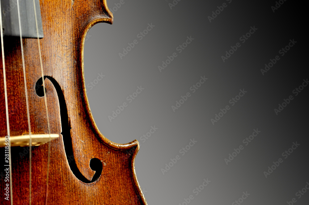 Fototapeta premium skrzypce
