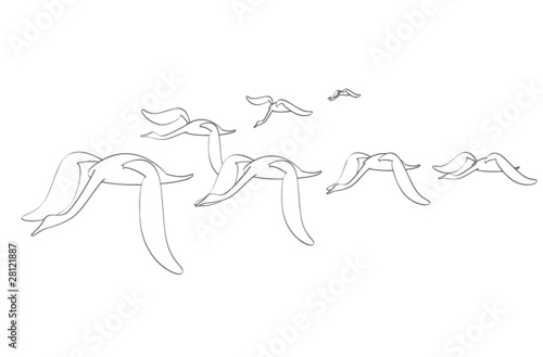 vectorillustration birds migration on white