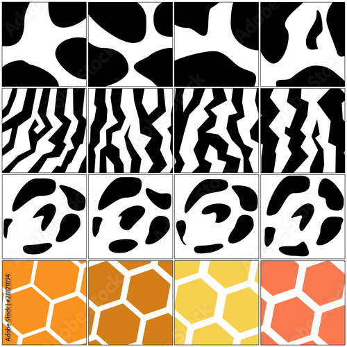 set of animal skins vector illustration