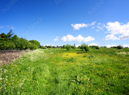 Spring landscape in Yorkshire