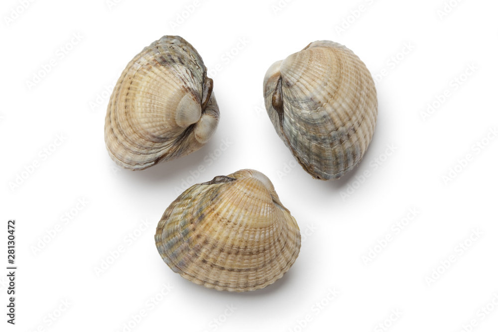 Whole fresh raw cockles Whole fresh raw cockles