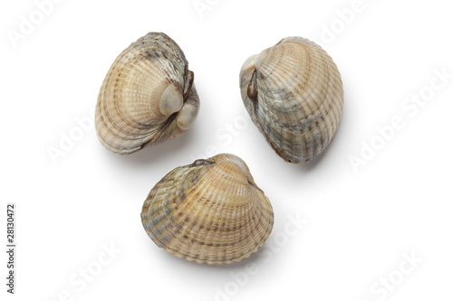 Whole fresh raw cockles