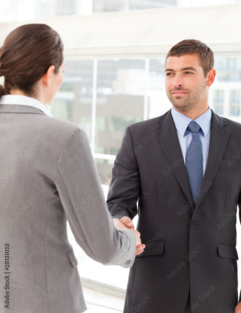 Businessman shaking hands with a businsswoman Businessman shaking hands with a businsswoman