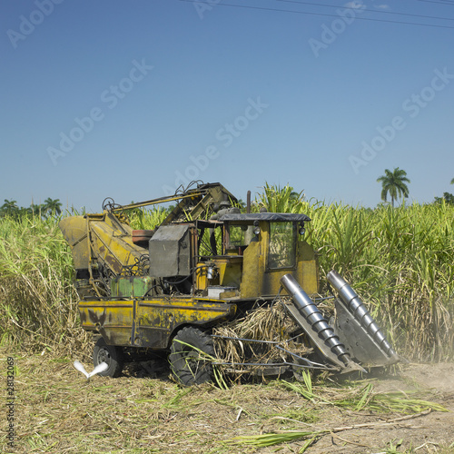 sugar cane harvest, Sancti Spíritus Province, Cuba