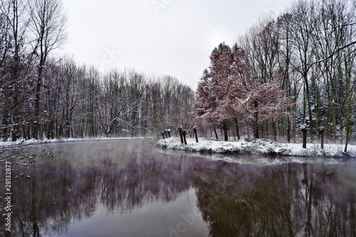 Fluß im Winter © Imaginis