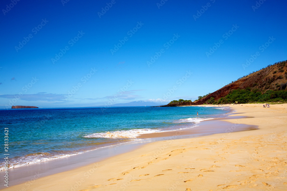 Tropical beach with clear blue sky