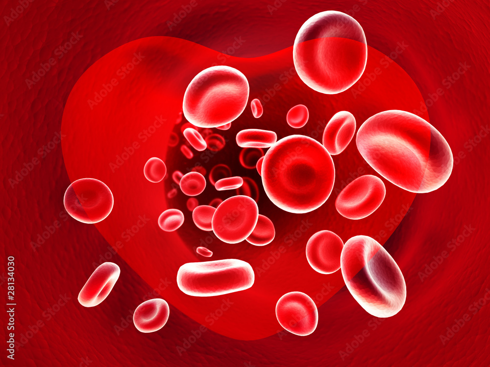 image of the flow of blood inside a heart image of the flow of blood inside a heart