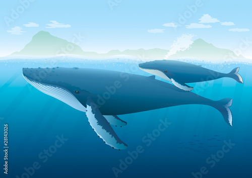 Humpback Whale and young on surface. Full compatible gradients.