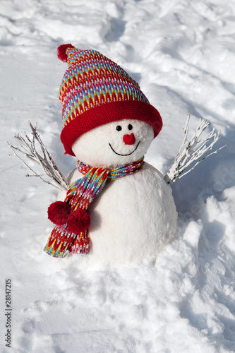 Canvas Print Schneemann