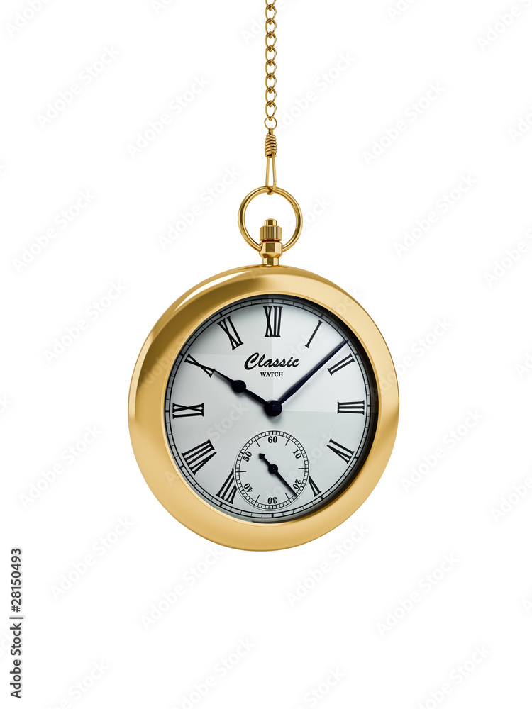 pocket watch pocket watch