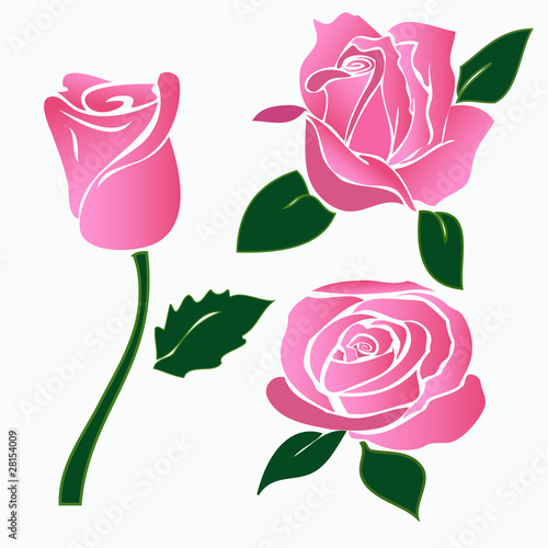 rosen
