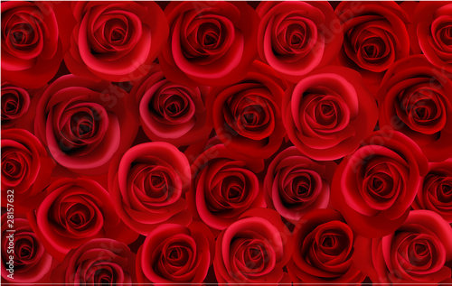 Beautiful roses. Photo-realistic vector.