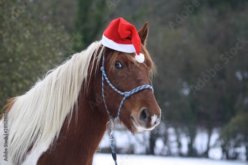 Poney de Noel