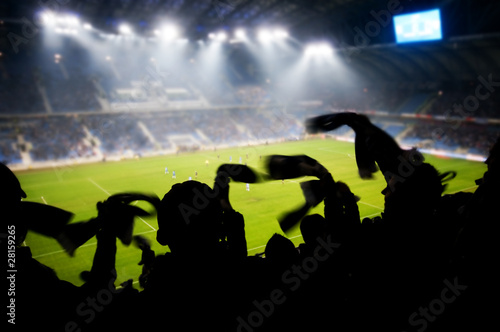 Fans celebrating a goal on football / soccer match photo