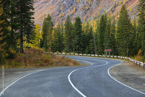 forest road