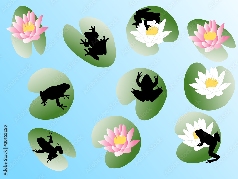 frogs on flowers - vector