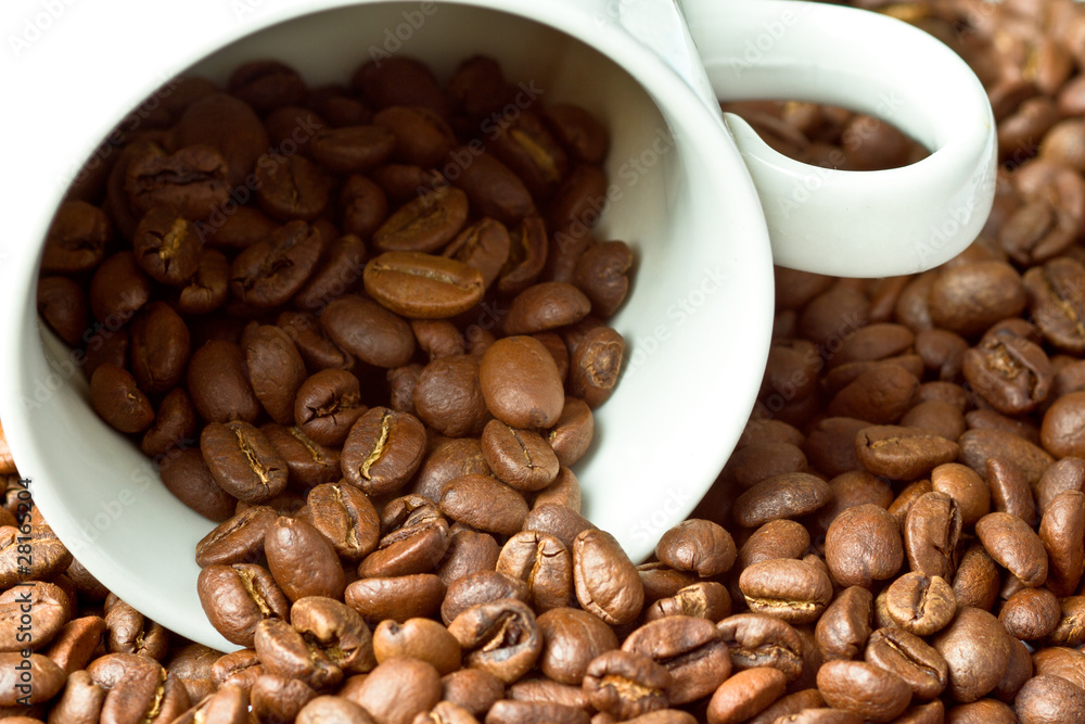 White cup in coffee beans White cup in coffee beans