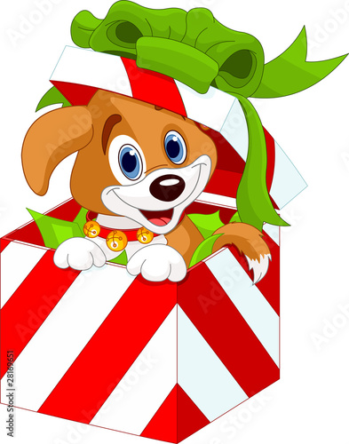 Puppy in a Christmas  gift box