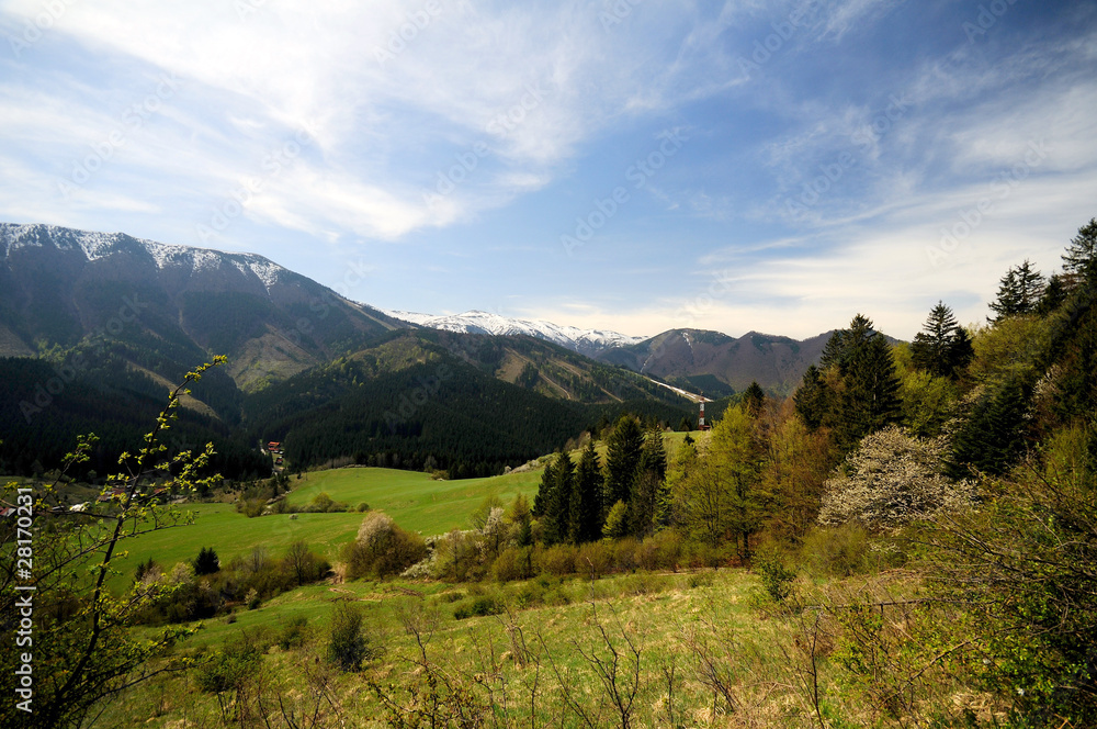 Fototapeta premium landscape