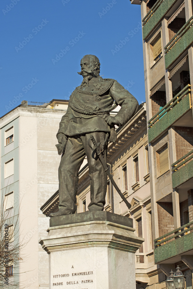 Naklejka premium The king