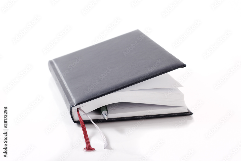 Pen in diary. Pen in diary.