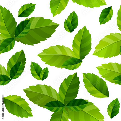 Seamless background with fresh green mint leaves