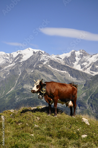 Vache tarine et Mont Blanc © Kromosphere