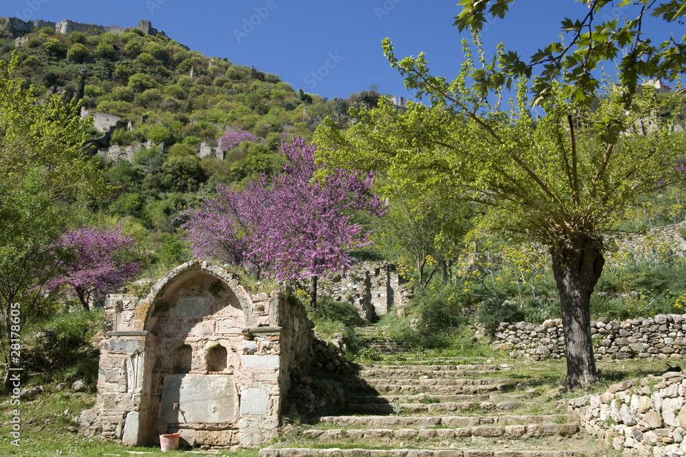Springtime at Mystras, turkish fountain - Peloponnese