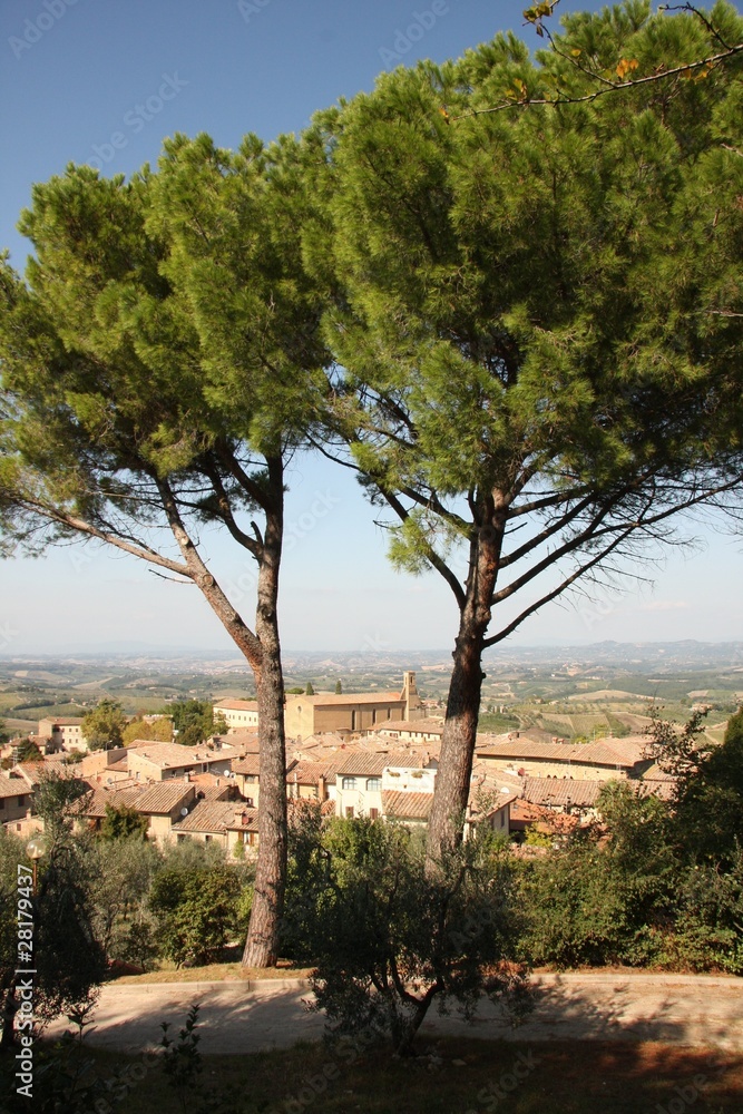 Obraz premium San Gimignano - arbres
