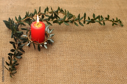 Christmas background with branches of holly tree photo